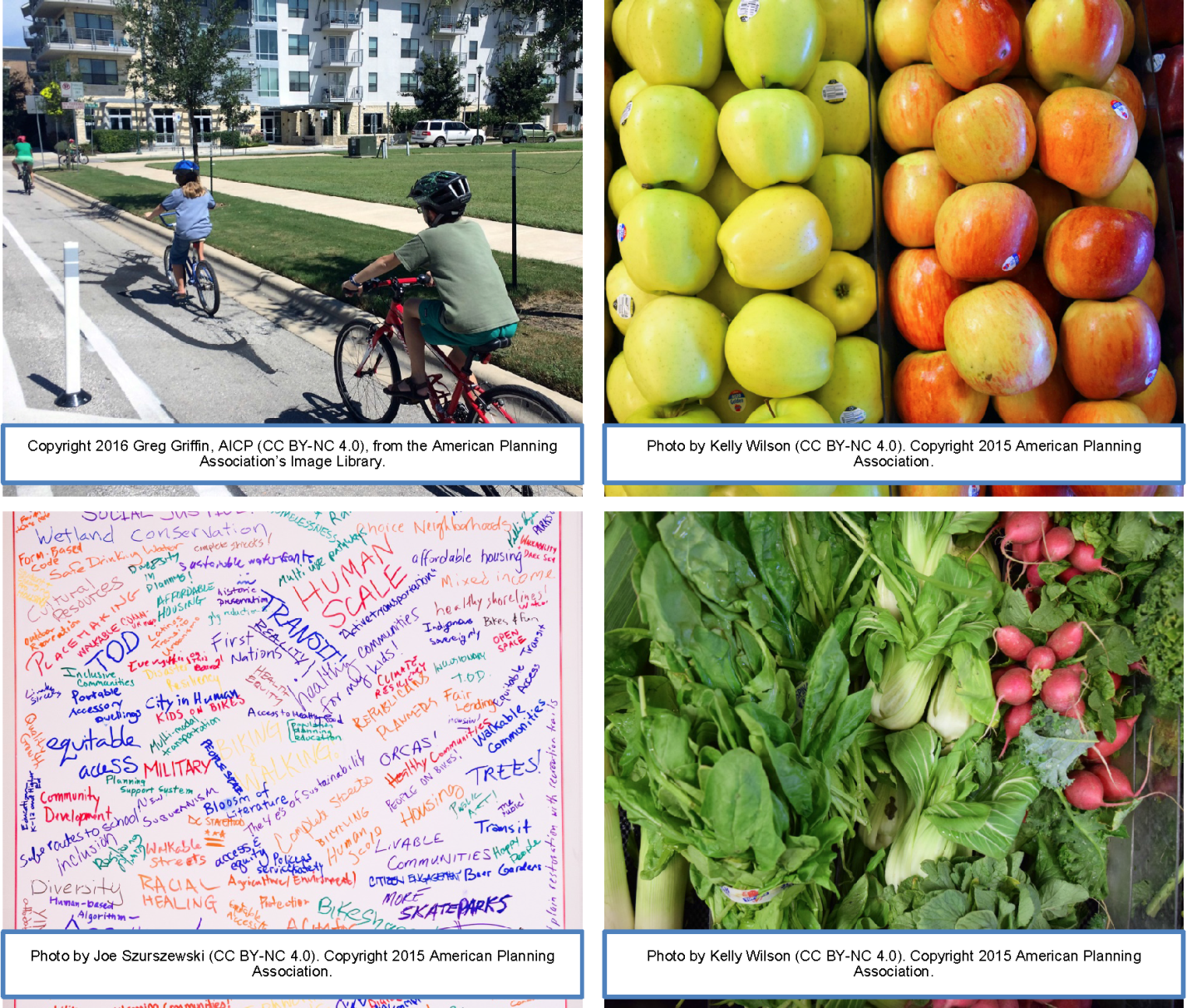 Four photos in box grid demonstrating EJ elements such as fresh fruit and veggies, children riding bikes in dedicated bike lane 
